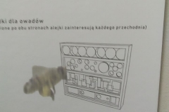 projekty parku wiejskiego