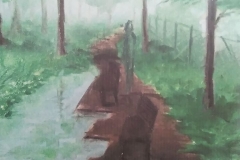 projekty parku wiejskiego