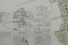 projekty parku wiejskiego