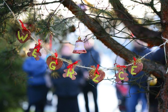 Choinka w&nbsp;Węgrzcach