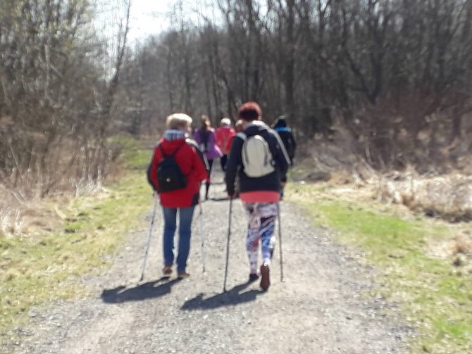 Aktywne Węgrzce – Nordic Walking