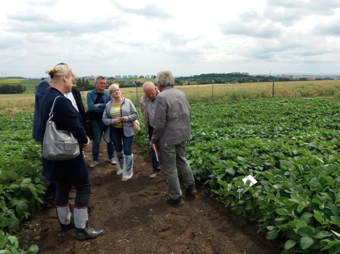 Dni Pola – Inicjatywa Białkowa COBORU w&nbsp;SDOO Węgrzce