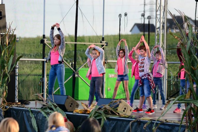 Piknik „Pożegnanie Lata w&nbsp;Węgrzcach” już za&nbsp;nami!