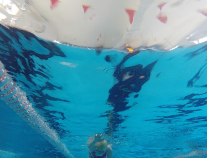 Nauka i&nbsp;doskonalenie pływania w&nbsp;Bibicach