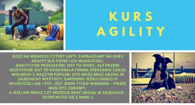 Kurs Agility dla psów i&nbsp;ich właścicieli