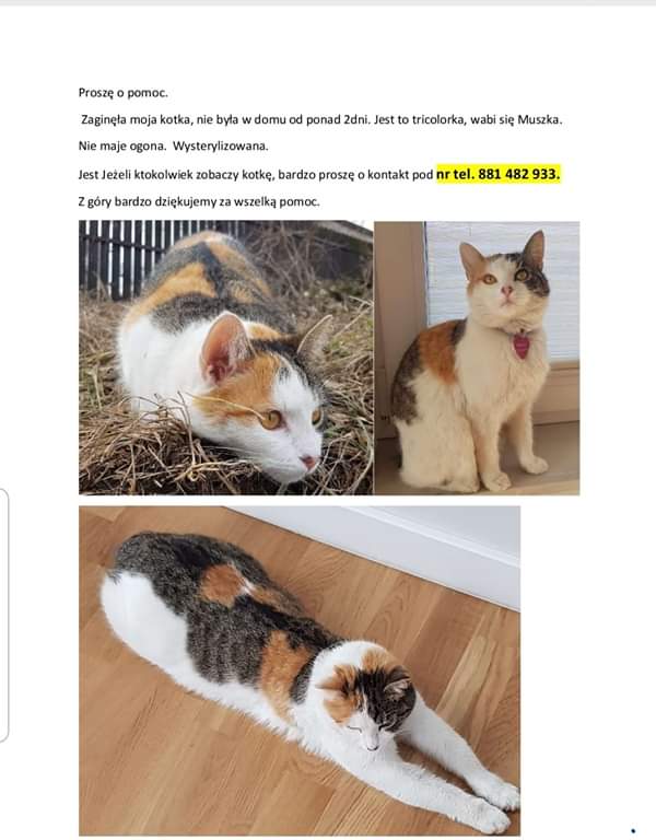 Szukamy kolejnej zguby