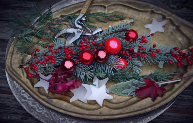 Świąteczne warsztaty florystyczne – 14.12 w&nbsp;Bibliotece w&nbsp;Węgrzcach