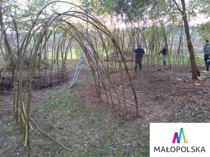 Tunel z&nbsp;witek wierzbowych – zapraszamy