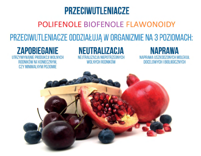 Rozmowy o&nbsp;zdrowiu – poznaj moc flawonoidów i&nbsp;przeciwutleniaczy