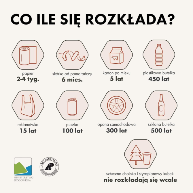 Lasy Państwowe zachęcają do&nbsp;zbierania śmieci na&nbsp;spacerze