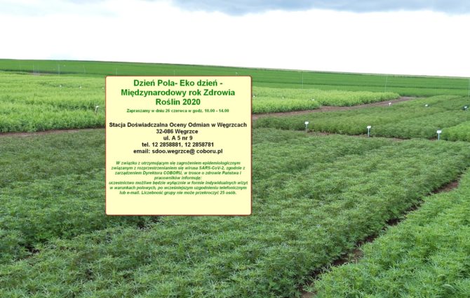 Stacja Doświadczalna Oceny Odmian w&nbsp;Węgrzcach zaprasza na&nbsp;Dni Pola