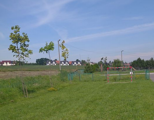 Klony na&nbsp;terenie TS&nbsp;Węgrzce