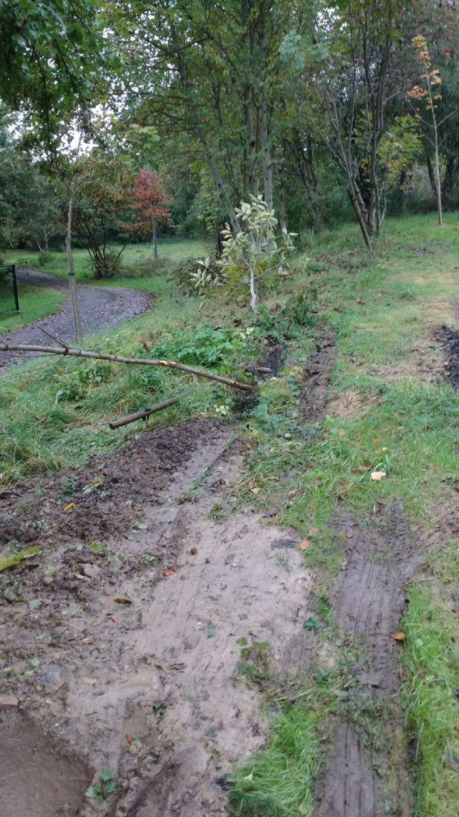 Prosimy o&nbsp;ostrożniejsze parkowanie w&nbsp;rejonie ul.&nbsp;C5 i&nbsp;nie&nbsp;niszczenie zieleni