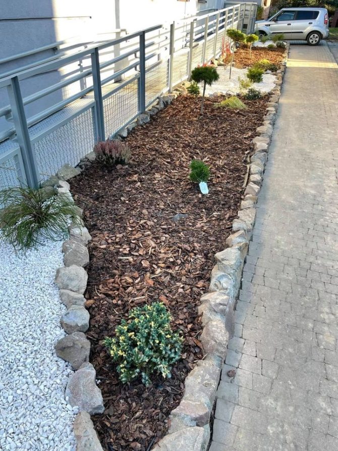 Nowa szata roślinna przy Bibliotece w&nbsp;Węgrzcach