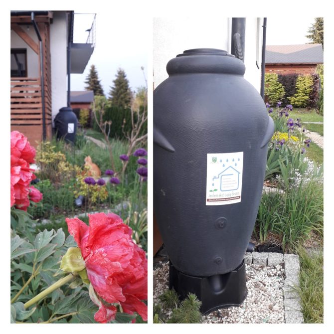 Gmina Zielonki wyróżniona  za&nbsp;projekt „Jestem Eko! Łapię deszcz”