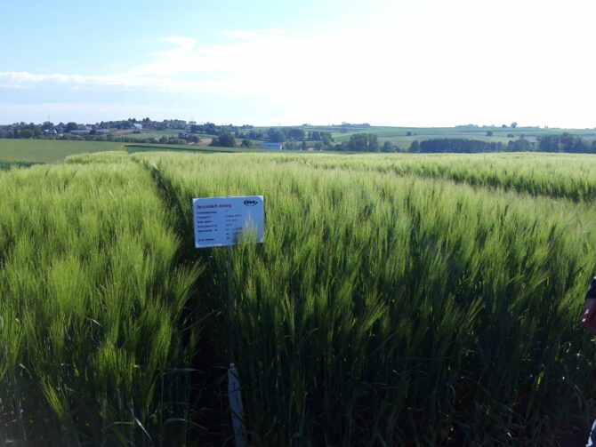 Stacja Doświadczalna Oceny Odmian w&nbsp;Węgrzcach rusza na&nbsp;facebooku