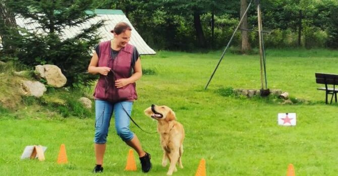 We&nbsp;wtorek ciekawe zajęcia otwarte dla osób z&nbsp;psami