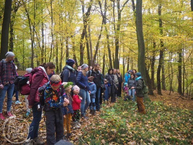 Mikrowyprawa do&nbsp;Lasu Młodziejowickiego