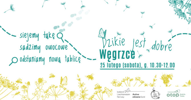 Kwietna łąka zasiana w&nbsp;parku przy C5