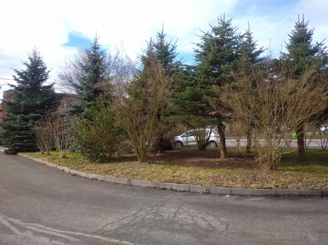 Wiosenne porządki w&nbsp;sołectwie czas zacząć