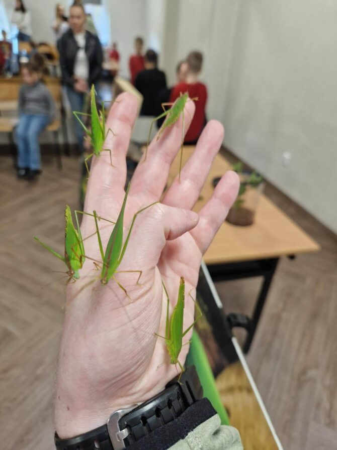 Kolejna lekcja o&nbsp;owadach za&nbsp;nami i… przed&nbsp;nami