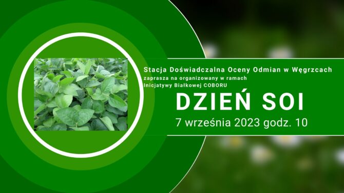 Zapraszamy na&nbsp;Dzień Soi do&nbsp;SDOO