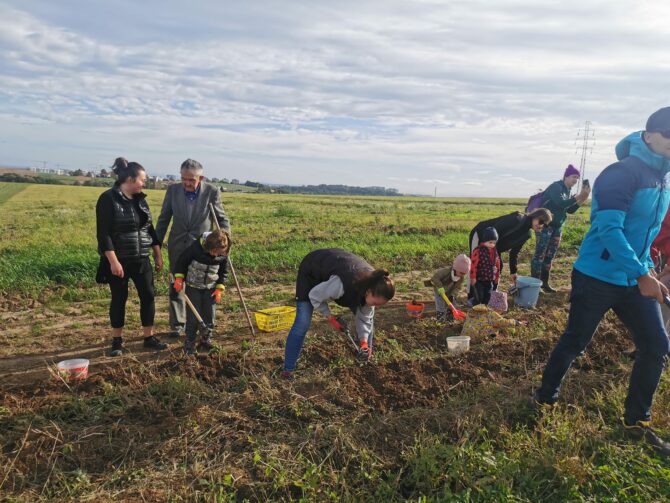 Relacja z&nbsp;wykopek z&nbsp;KGW i&nbsp;SDOO