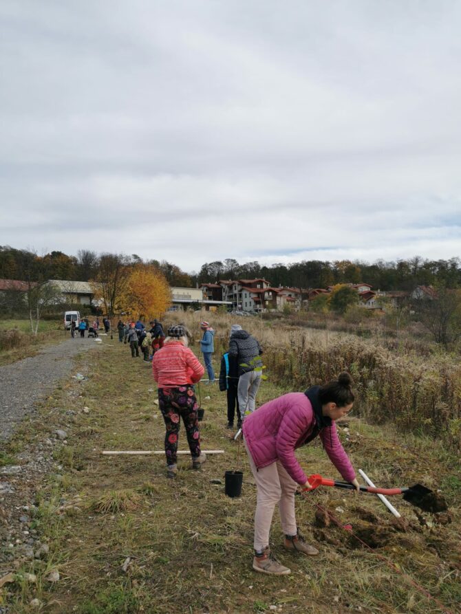 Wiśniowa aleja w&nbsp;Węgrzcach