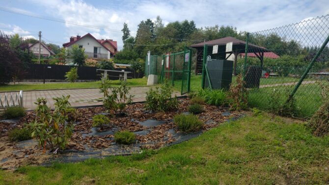 Piękna rabata w&nbsp;Węgrzcach