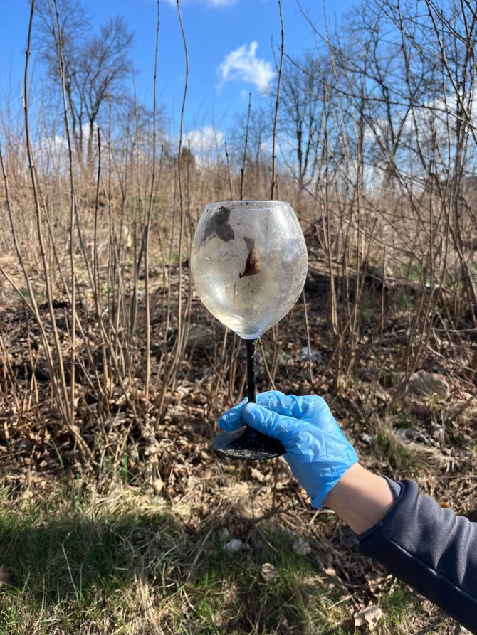 Dziękujemy za&nbsp;udział w&nbsp;akcji „Czyste Węgrzce”